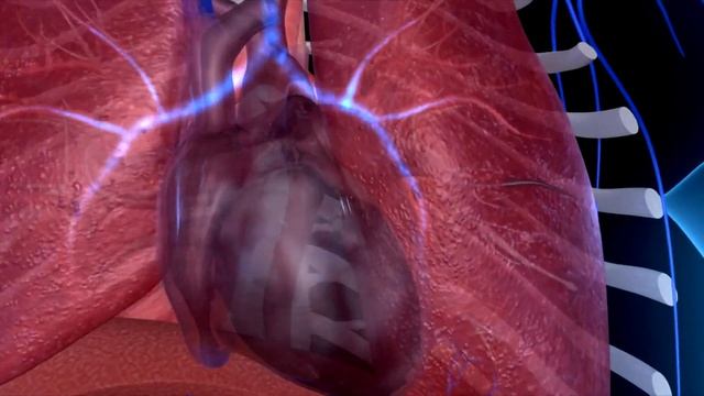 This is how yoga works | The science behind yoga смотреть онлайн