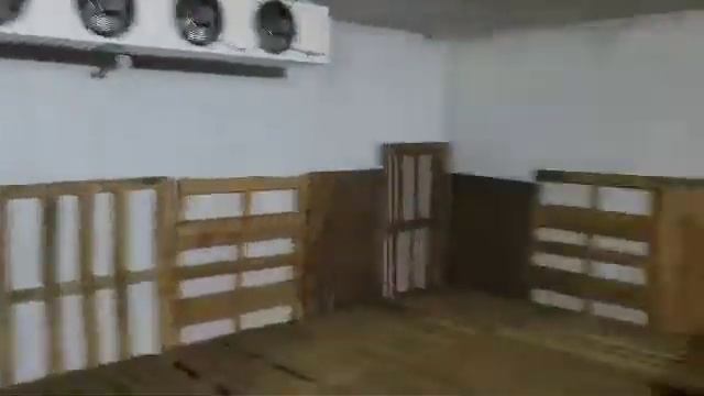 Лук очищенный хранение