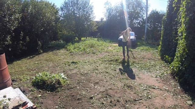 ДАЧА: В конце августа. Косим траву, собрала ящик томатов, посадили малину ? смотреть онлайн