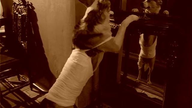 Собачье сердце - бабушка моя согрешила с водолазом