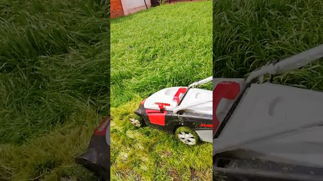 Косим запущенный луг смотреть онлайн