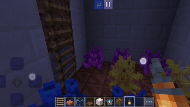 SVID_20240218_131615_1.mp4