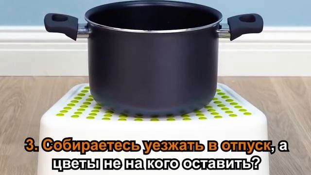 5 полезных лайфхаков для комнатных растений смотреть онлайн