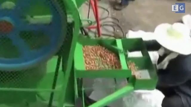 Станок для очистки арахиса смотреть онлайн