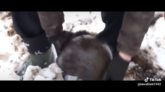 Нашли каску ,в болоте смотреть онлайн