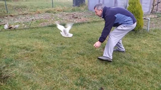 обзор фильма "три метра над уровнем неба" смотреть онлайн