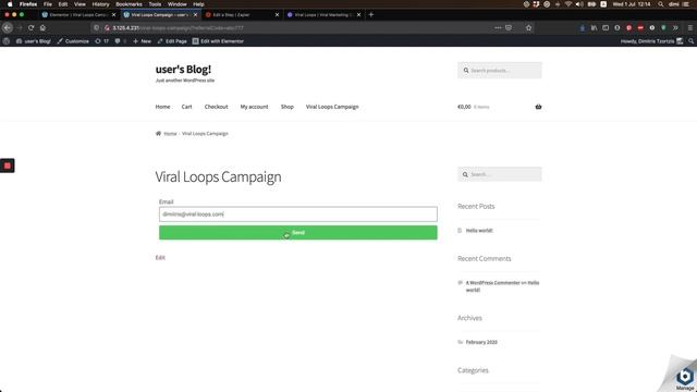 Viral Loops with Elementor Form & Wordpress website смотреть онлайн