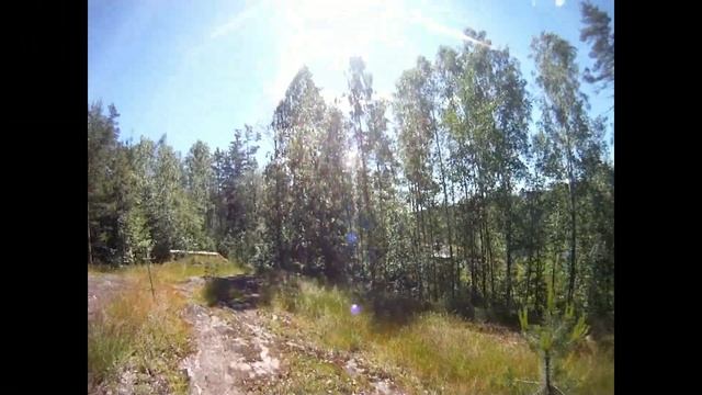 ястребиное