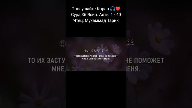 Нет Бога кроме Аллаһа #quran #ayat #красивоечтениекорана #истина смотреть онлайн