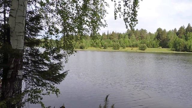 "Уральский кедр часть четвёртая" смотреть онлайн