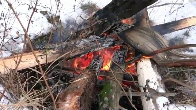 Геологи Ирина Бржевская смотреть онлайн