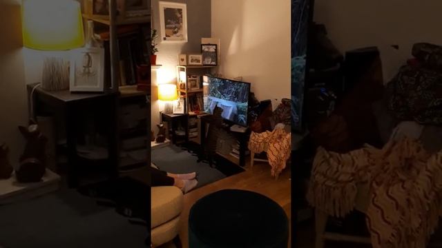 Snarf Goes Hunting смотреть онлайн