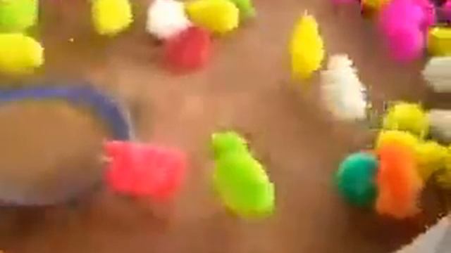 Крашеные цыплята! смотреть онлайн