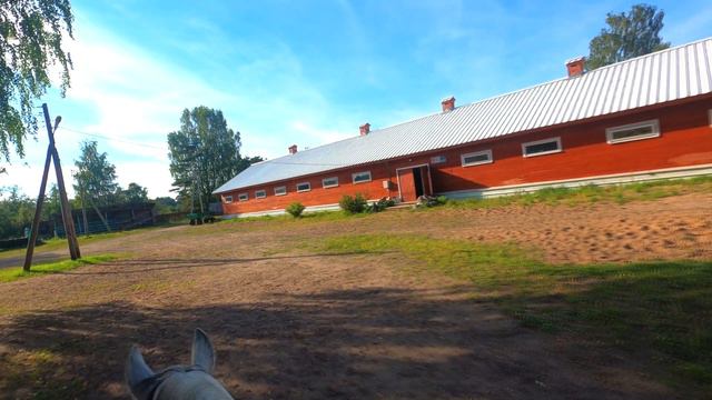 Верховая прогулка на лошадке с инструктором - Хорошевский коневодческий комплекс смотреть онлайн