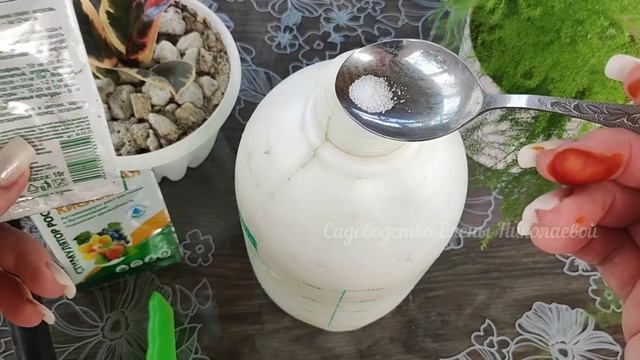 ТОЛЬКО ПОСЛЕ ЭТОГО СРЕДСТВА ТОМАТОВ ЗАВЯЖЕТСЯ В 10 РАЗ БОЛЬШЕ!СУПЕР ПОДКОРМКА!!!!! смотреть онлайн