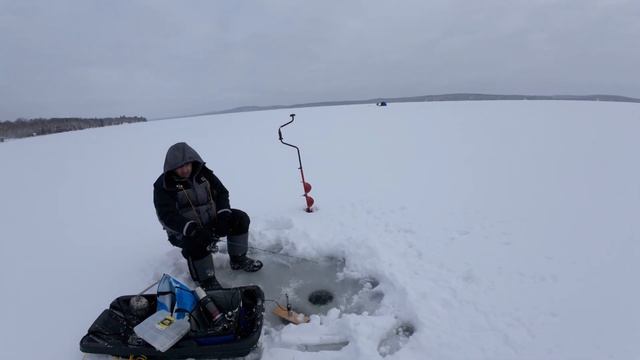 Рыбалка на озере Бернард 20 Января, 2024 / Ice Fishing - Bernard lake Jan 20, 2024 смотреть онлайн