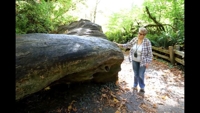 02. Эшланд Орегон и Национальный парк Рэдвуд / 02. Ashland OR, Eureka OR, Redwood NP смотреть онлайн