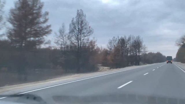 Сгоревший лес в Сиротино, Новоайдарский район Луганской области, Украина 🇺🇦 смотреть онлайн