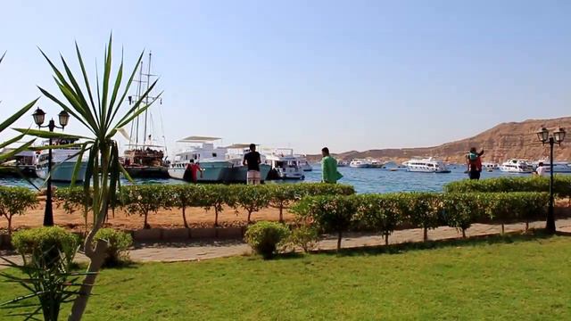 Отель Royal Grand Sharm 5* Отдых и дайвинг в Египте. Шарм-эль-Шейх (Ex Iberotel Grand Sharm) 2017 смотреть онлайн