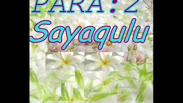 Fehm Al Quran Pashto PARA 2 ( b ).wmv смотреть онлайн