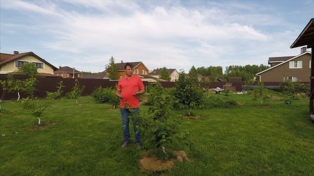 так ли страшна тля для вашего сада? смотреть онлайн