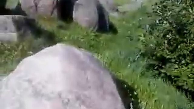 Музей валунов смотреть онлайн