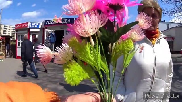 На рынке покупаем индюшатину и цветы.Vlog.Брест