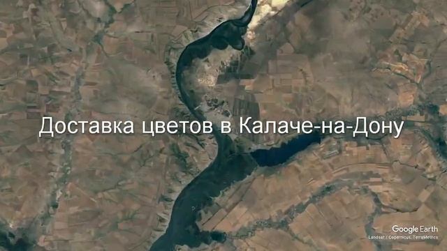 Доставка цветов в Калаче-на-Дону - Заказ букетов от компании Скорая подарочная помощь смотреть онлайн