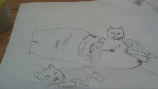2 часть как нарисовать собаку и кошку смотреть онлайн
