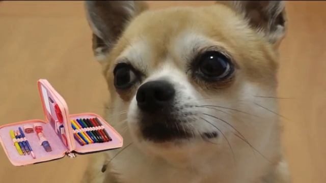 Школьная продукция в интернет-магазине "Комус". смотреть онлайн