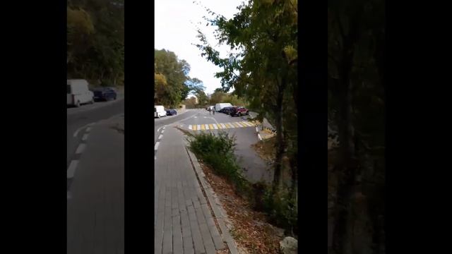 VLOG/ Кормим бездомных котят, спасаем от голода смотреть онлайн