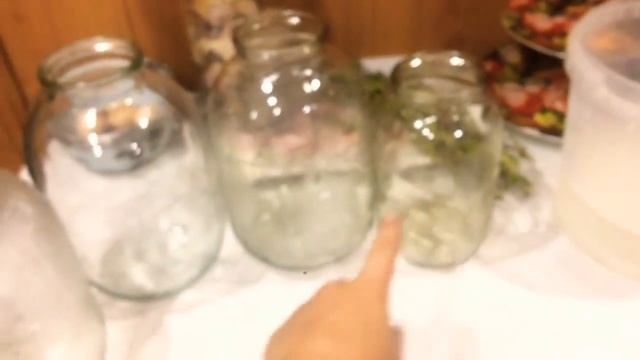 ЗАГОТОВКА Компотов на Зиму/Вишня Малина Смородина Крыжовник/Family в Деревне смотреть онлайн