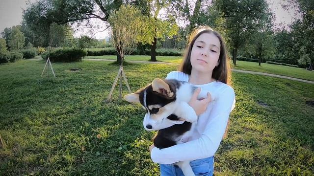 Фотосессия в парке август 2019 смотреть онлайн