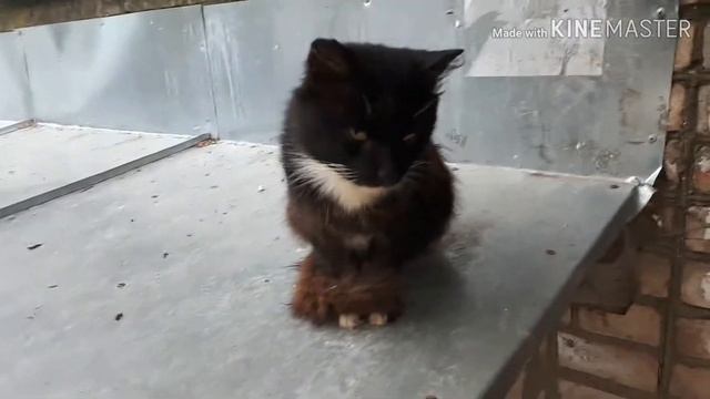 Расклеивание листовок❤❤❤ смотреть онлайн