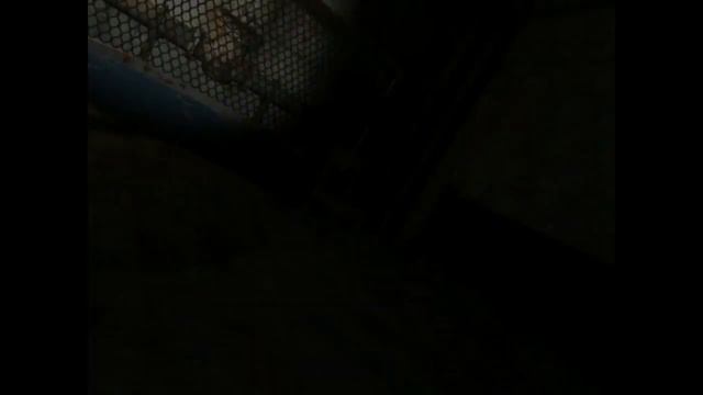 S.T.A.L.K.E.R. : Тень Чернобыля : английская озвучка персонажей (5 часть) смотреть онлайн