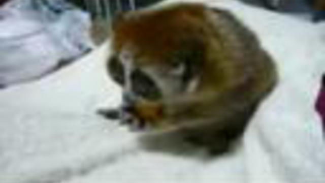 Глазастый позитив смотреть онлайн