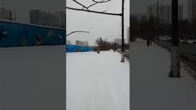 Снегоход турист -первый снег ,покатушки у офиса ZIPVIP смотреть онлайн