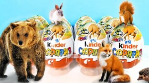 СОБИРАЮ ЗООПАРК НАТУНС из Киндер Сюрприз 2022! Natoons Kinder Surprise eggs unboxing