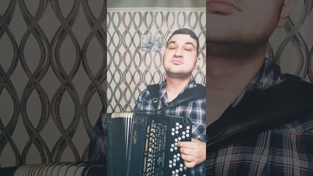 Музыкант сыграл лучшую песню для баяна/гармони #баян #гармонь #чайка #заринск смотреть онлайн
