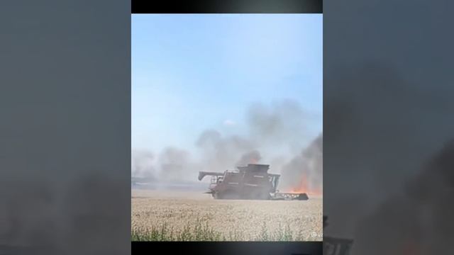 Агроном подпалил поле пшеницы и спалил машину. Сгорело 8га. смотреть онлайн