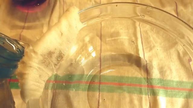 Как проверить семена на всхожесть? Проверка семян томатов. смотреть онлайн