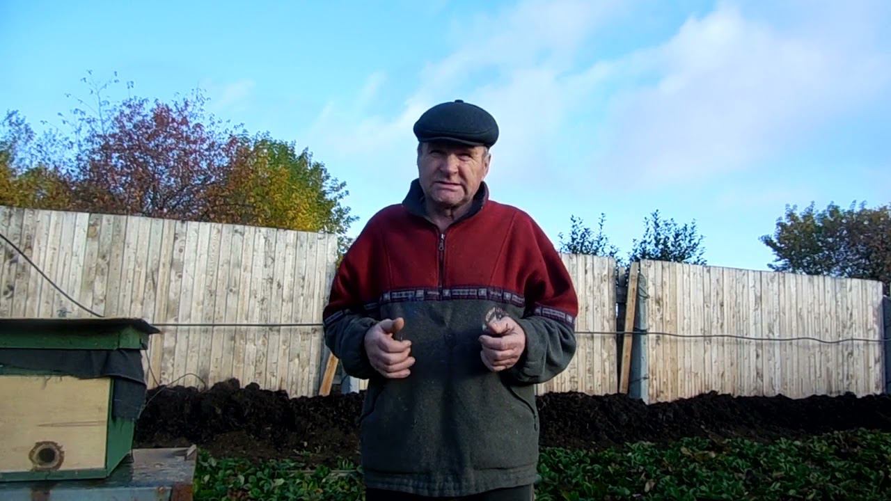 На каждый яд есть противоядие. смотреть онлайн