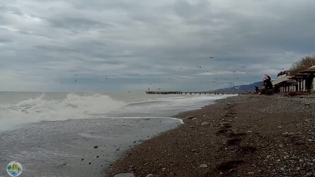 Шторм. Море. Чайки. #на_берегу_моря смотреть онлайн
