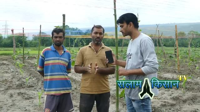 कम लागत कम जमीन में एक साथ तीन फसल/मिश्रित खेती के लाभ/mixed farming смотреть онлайн