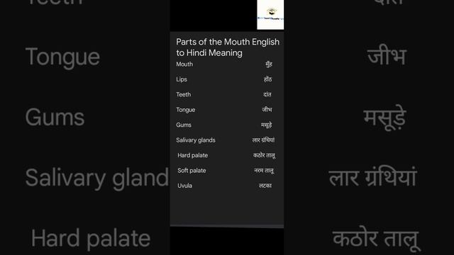 Parts of the Mouth English to Hindi Meaning #shortsdailydaily english conversation смотреть онлайн