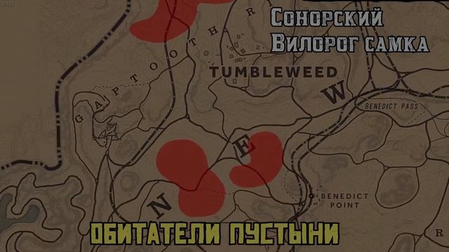 ОБИТАТЕЛИ ПУСТЫНИ РОЛЬ НАТУРАЛИСТА В RED DEAD ONLINE(ГАЙД ПО ЛОКАЦИЯМ) смотреть онлайн
