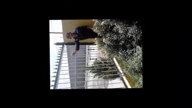 LA LLAMADA NIKO TARANGO смотреть онлайн