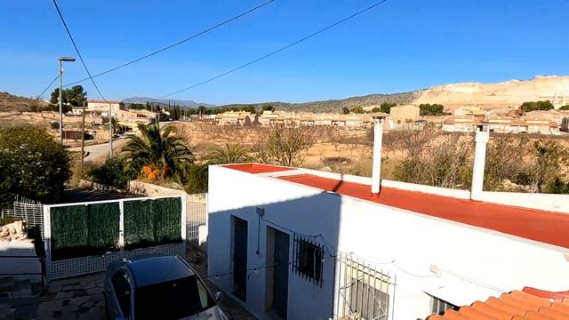 Fun With Fungus, It`s A Date! Let`s Get Started With Paint (Ep 236)