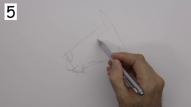 How to Draw a Horse Head Step by Step - Easy - Narrated смотреть онлайн