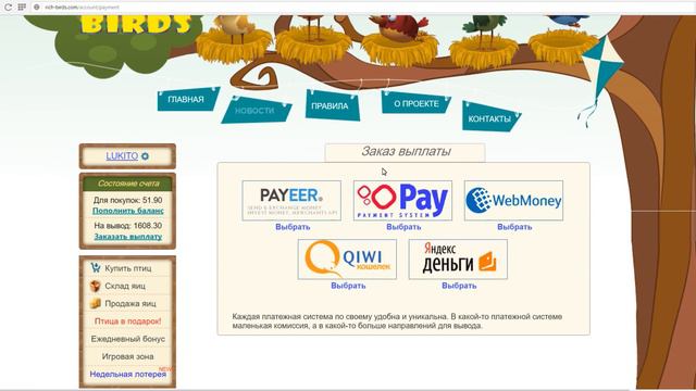 rich-birds ! я получил 3 000 000 за месяц ? смотреть онлайн